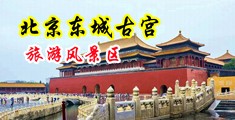 丝袜无码内射中国北京-东城古宫旅游风景区